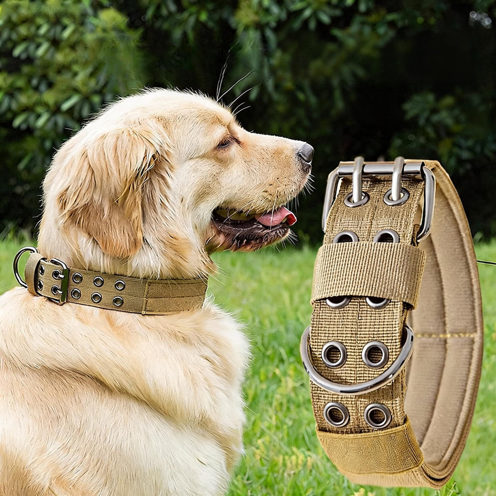 Dog Collar – main product photo on white background