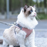 Pet Harness – main product photo on white background