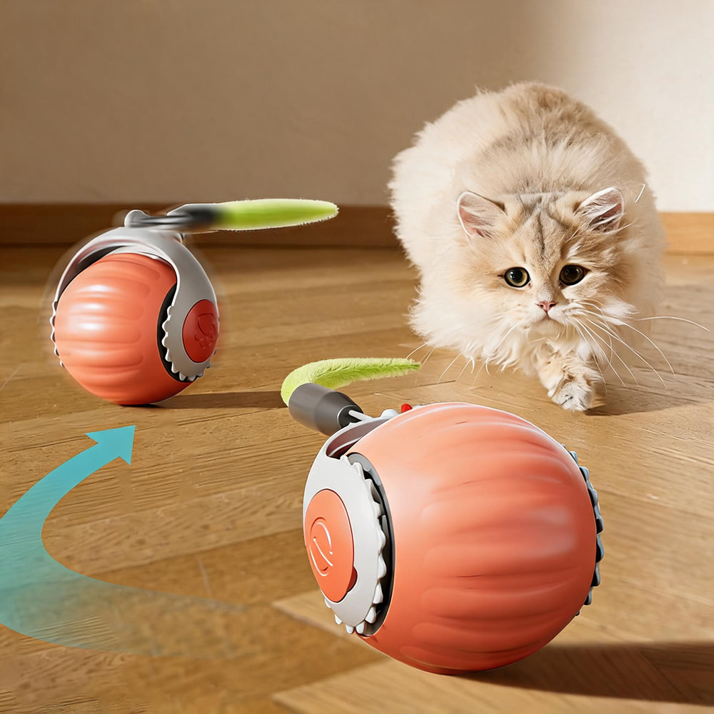 Cat Toy – main product photo on white background