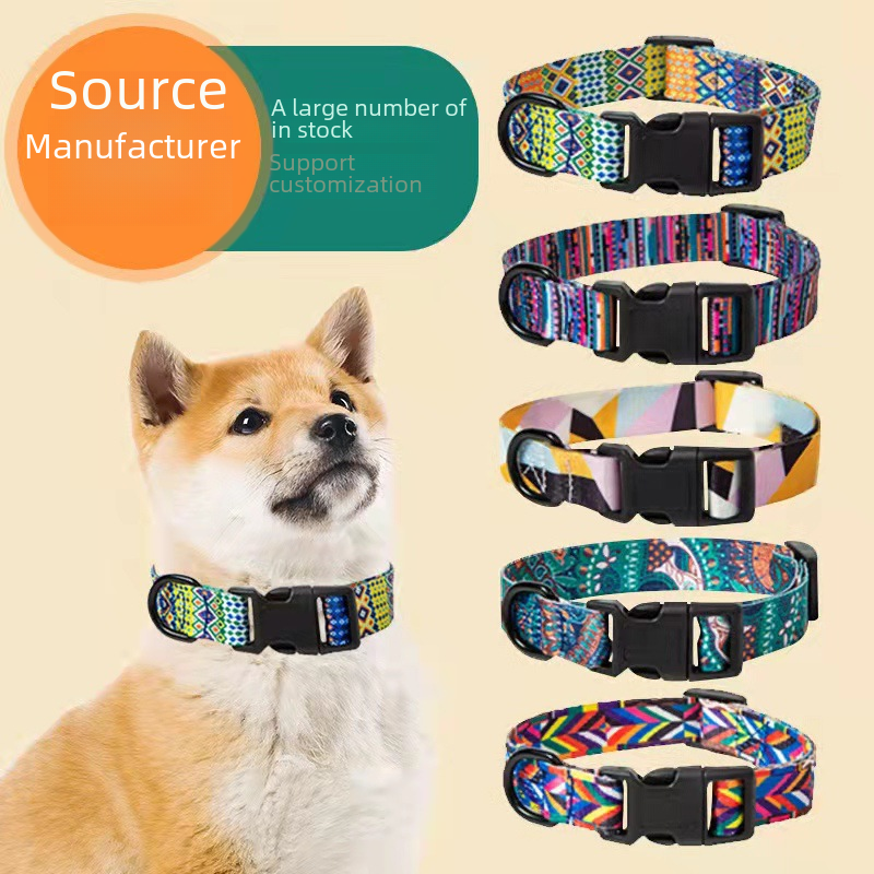 Dog Collar – main product photo on white background