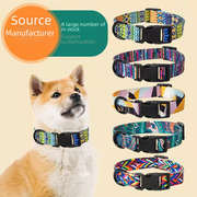Dog Collar – main product photo on white background