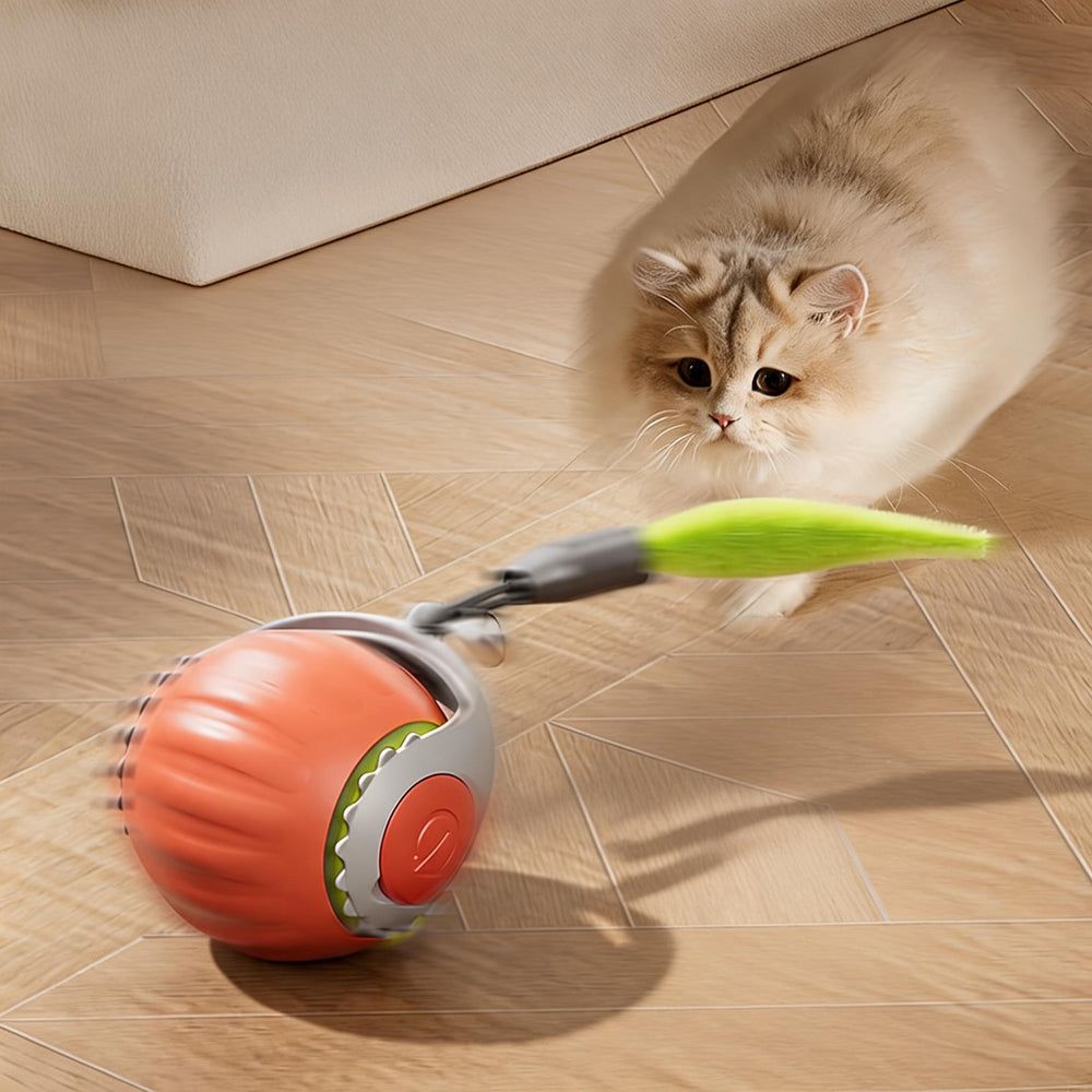 Cat Toy – product detail photo 2 of 4