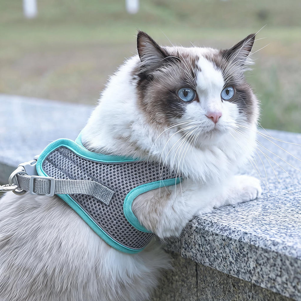 Pet Harness – product detail photo 2 of 4