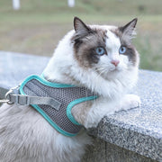 Pet Harness – product detail photo 2 of 4