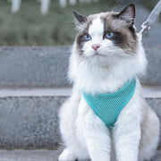 Pet Harness – product detail photo 3 of 4